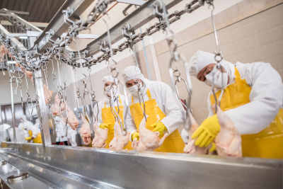 Group of workers in a poultry processing plant